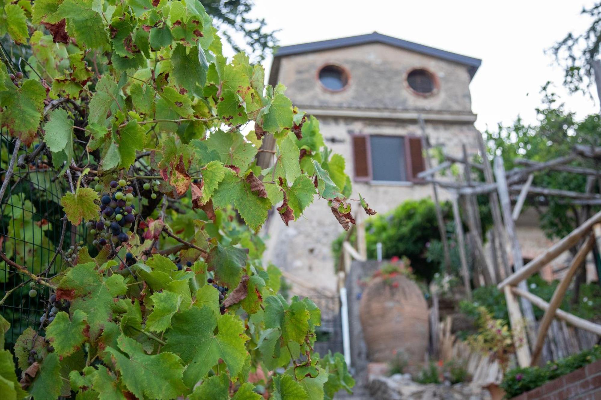 Il Melograno In Costa D'Amalfi - Romantic Experience Vietri Esterno foto